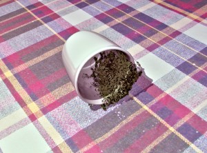 Moldy coffee cup.. Inspired by my super duper tidy workspace .