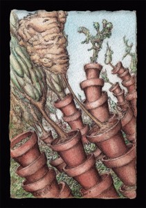 i-1-potted-plants